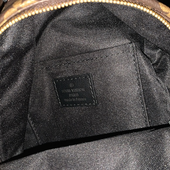 Louis Vuitton Palm Springs Mini Backpack - Picture 4 of 6